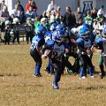 byfamb0588