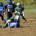byfamb0843