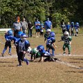 byfamb1411