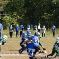 byfamb1429
