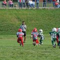 DSC01806