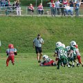 DSC01817