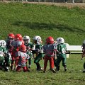 DSC01877