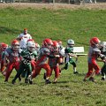 DSC01900
