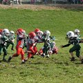 DSC01906