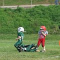 DSC02010