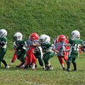 DSC02020