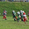 DSC02037