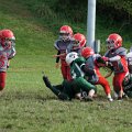 DSC02221