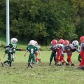 DSC02290