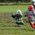 DSC02547