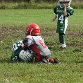 DSC02548