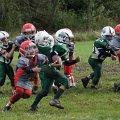 DSC02598