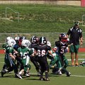 DSC07412