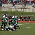 DSC07529