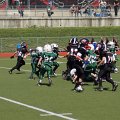 DSC07685