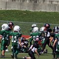 DSC07906