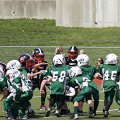 DSC07908