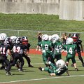 DSC07954