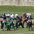 DSC07964