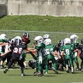 DSC07971