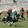 DSC07998